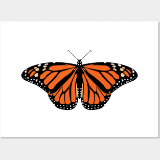 🦋 Royal Monarch Butterfly with Wings Spread Open Posters and Art